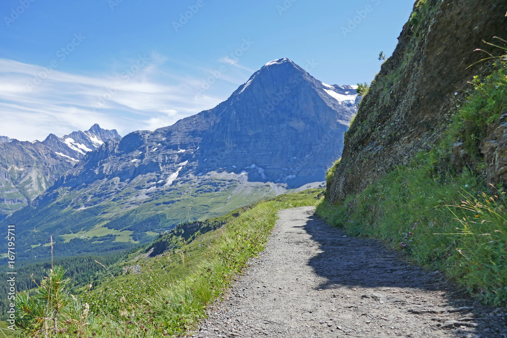 alpen: eiger, berner oberland, schweiz alpen: eiger, berner oberland, schweiz