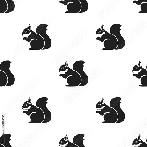 Squirrel vector icon in black style for web