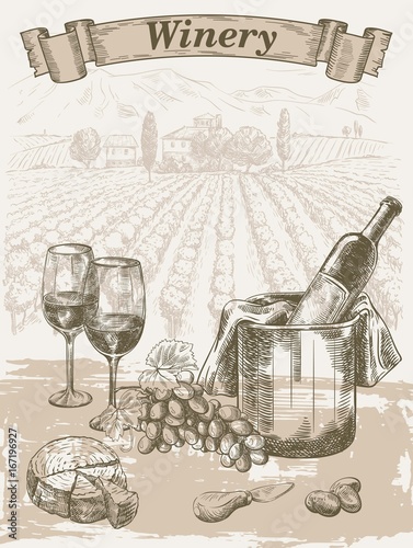 Winemaking. A bottle of red wine on a vineyard background