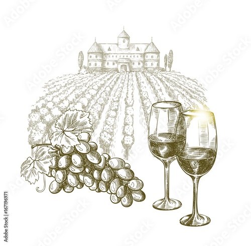 Winemaking .Two glasses of wine and a vine on a vineyard background