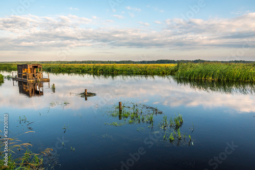 Fototapeta Naklejka Na Ścianę i Meble -  Biebrza - national park