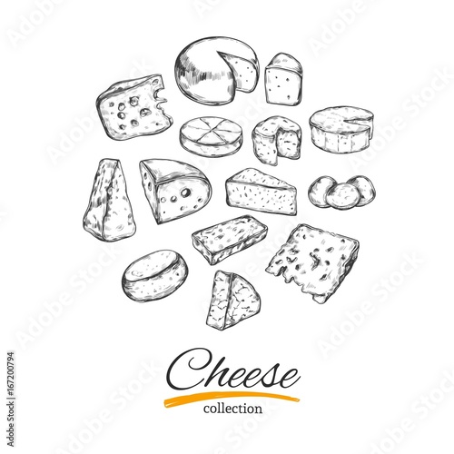 Cheese collection. Vector hand drawn illustration of cheese types . Isolated on white