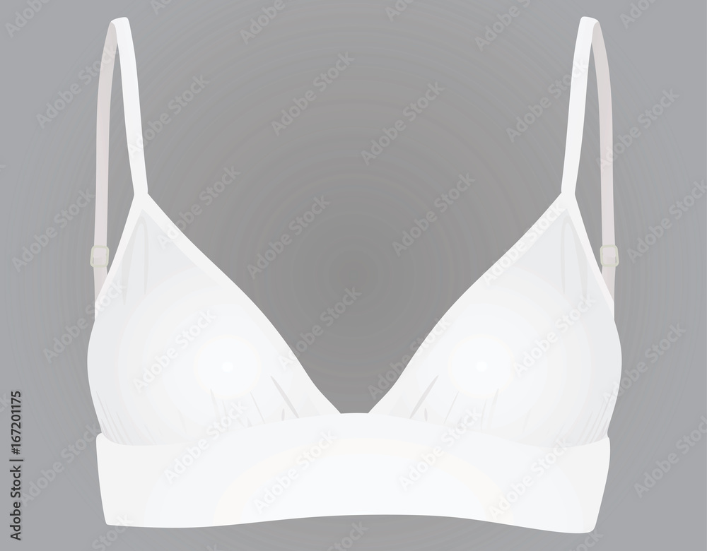 White women bra. vector illustration White women bra. vector illustration