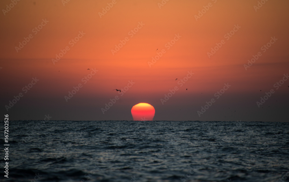 Sunrise over the ocean with birds flying, image was taken during the sardine run, east coast of South Africa.