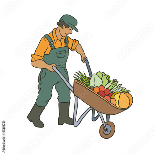 Vector sketch coloured illustration of farmer. Man with cart vegetables. Autumn gardening harvest. The drawn contour cartoon character peasant working in garden. Isolated graphic on white background.