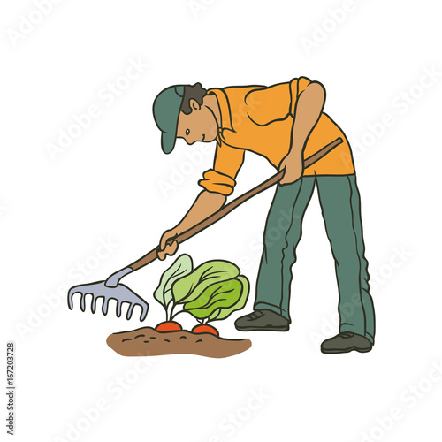 Vector sketch coloured illustration of farmer. Man with rake weeding vegetables. Autumn gardening harvest. Drawn contour cartoon character peasant working in garden. Isolated graphic on white ground.