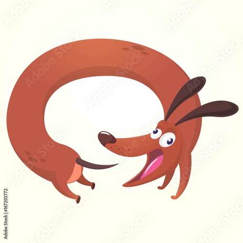 Cartoon Vector Illustration of Cute Purebred Dachshund. Dog running for his tail image. Design for icon or sticker