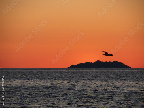 Beautiful sea sunset with island silhouette panorama . View of Gorgona island from Livorno city . Tuscany, Italy photo