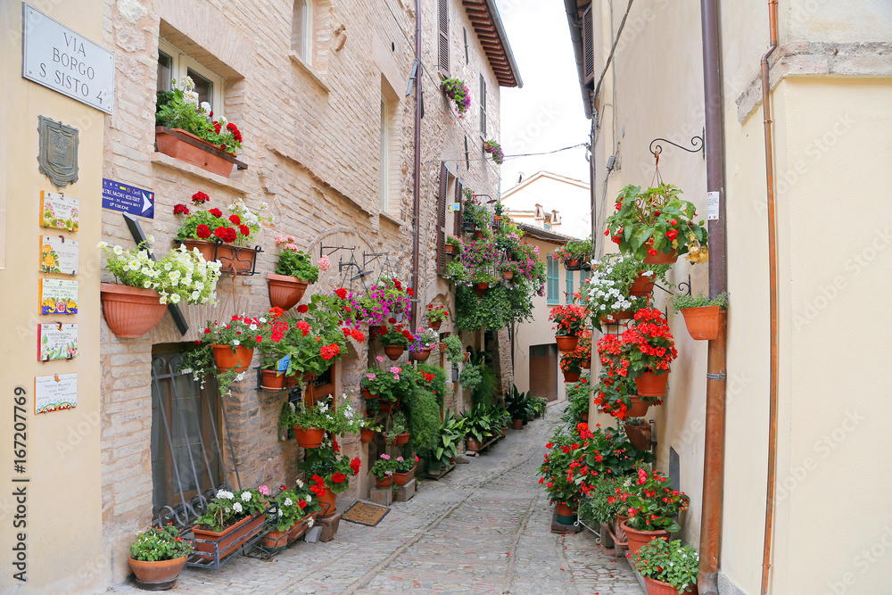 Charming floral streets in Spello, Umbria Italy, artistic pictur