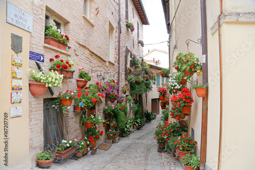 Fototapeta Naklejka Na Ścianę i Meble -  Charming floral streets in Spello, Umbria Italy, artistic pictur