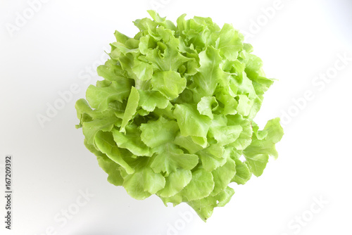 Green Oak Vegetable salad
