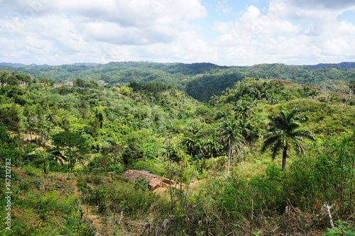 im Regenwald auf Kuba bei Trinidad, Karibik