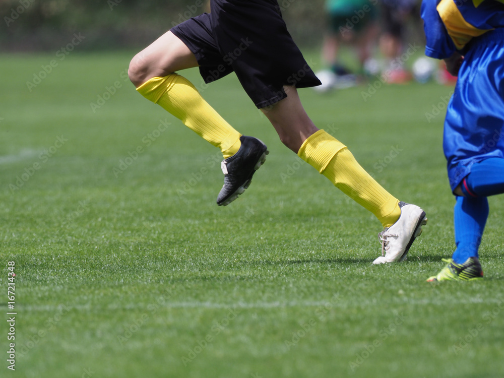 Obraz premium Piłka nożna