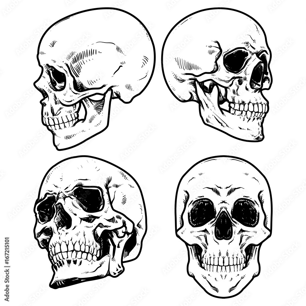 Кости черепа жоские стил варов
