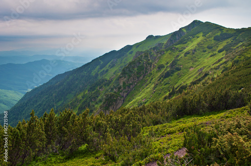 Majestic rocky rugged cliffs and steep hills covered in green lush grass, bushes and pine forest. Cloudy day in summer. Maramures, Carpathian mountains, Ukraine