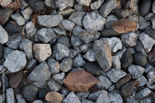 stone texture floor outdoor gray leaves