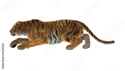 Fototapeta Naklejka Na Ścianę i Meble -  3D Rendering Big Cat Tiger on White