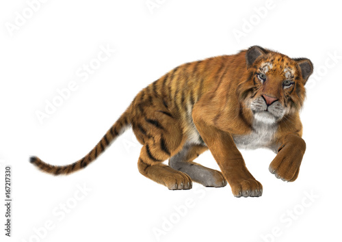 Fototapeta Naklejka Na Ścianę i Meble -  3D Rendering Big Cat Tiger on White
