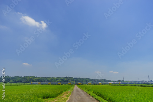夏の千葉の田園風景