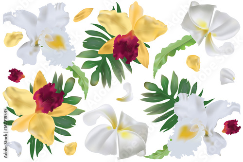 Tropical leaves with orchid flowers and plumeria flowers background pattern. Illustration vector