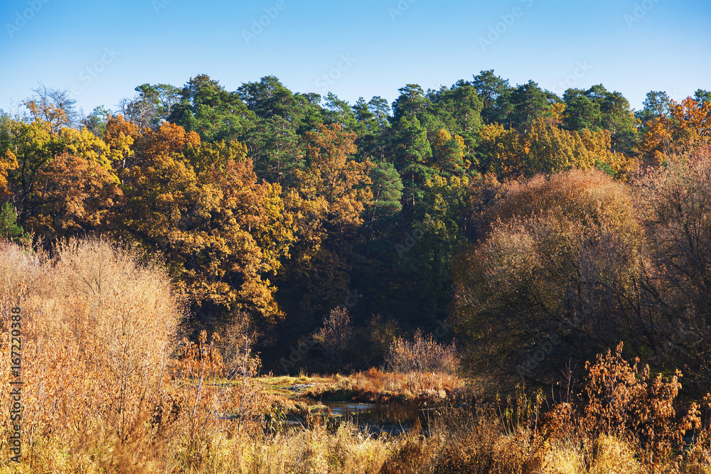 Fototapeta premium Drying small river