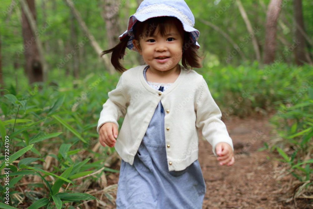 ハイキングする幼児(2歳児) ハイキングする幼児(2歳児)