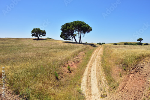 Rural landscape, Portugal