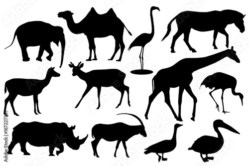 Fototapeta Naklejka Na Ścianę i Meble -  Wild animals and birds. Black silhouette icons
