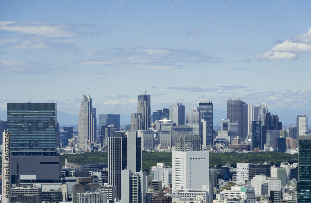 Fototapeta premium 東京風景