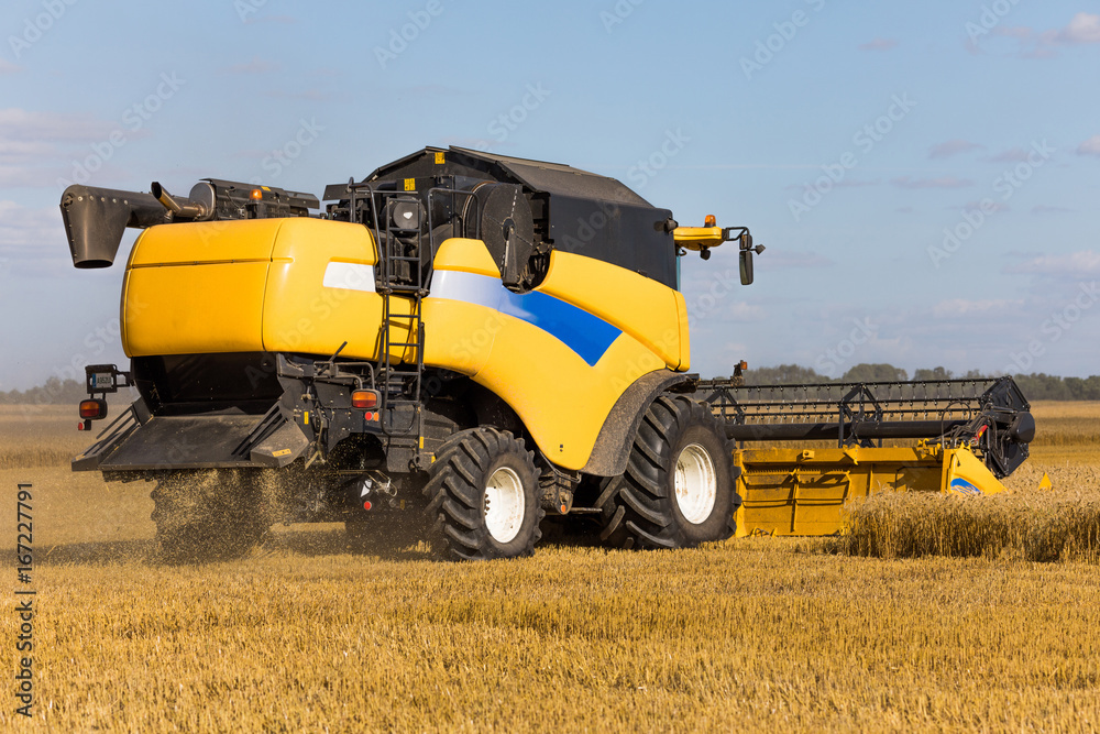 Obraz premium Yellow combine harvester on a wheat field with blue sky