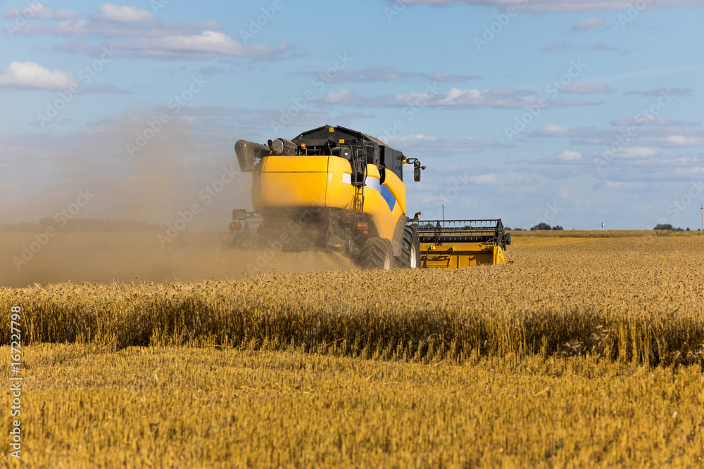 Fototapeta premium Yellow combine harvester on a wheat field with blue sky