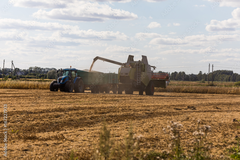 Naklejka premium Combine harvester on a wheat field with tractor