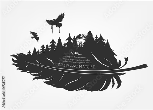 flying birds and forest in feather
