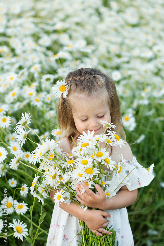 A little girl on a chamomile field A little girl on a chamomile field