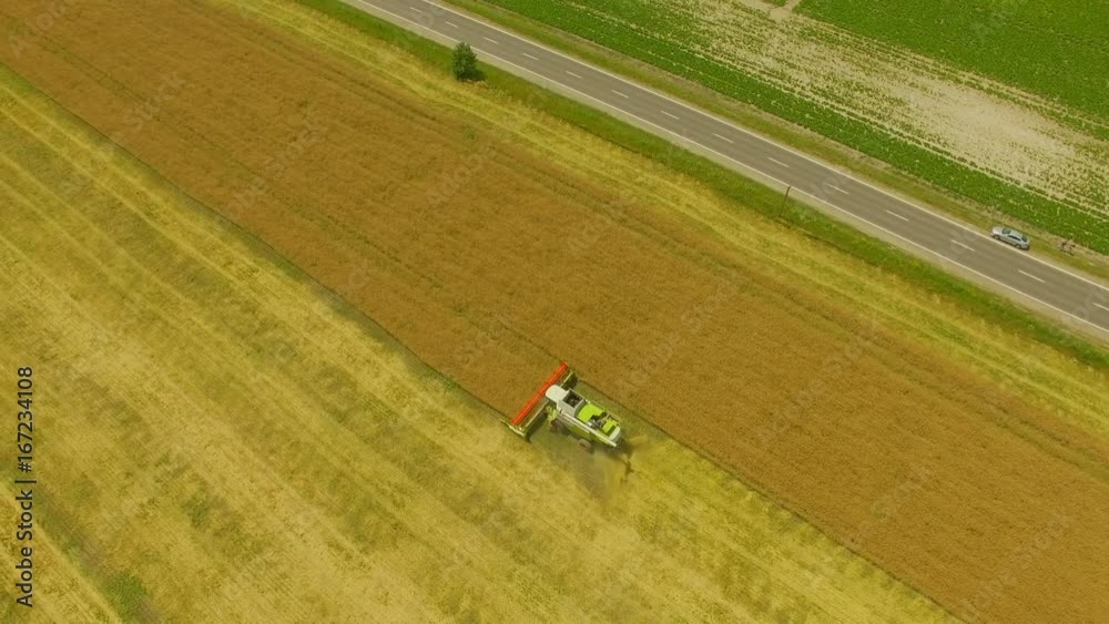 Aerial. Agricultural work. Combine harvester gathers the wheat crop. 4K Aerial. Agricultural work. Combine harvester gathers the wheat crop. 4K