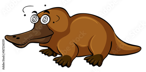 Platypus with dizzy face