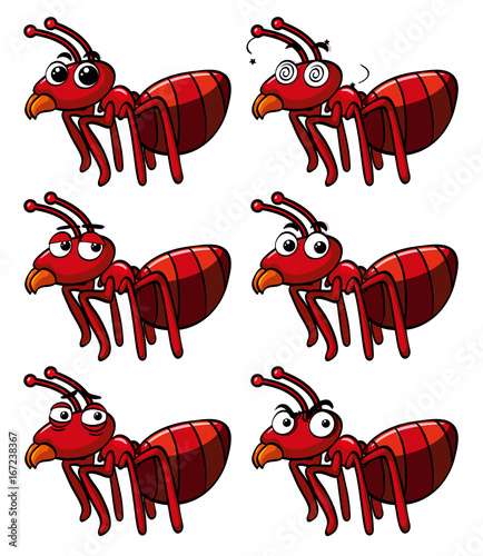 Red ant with different facial expressions