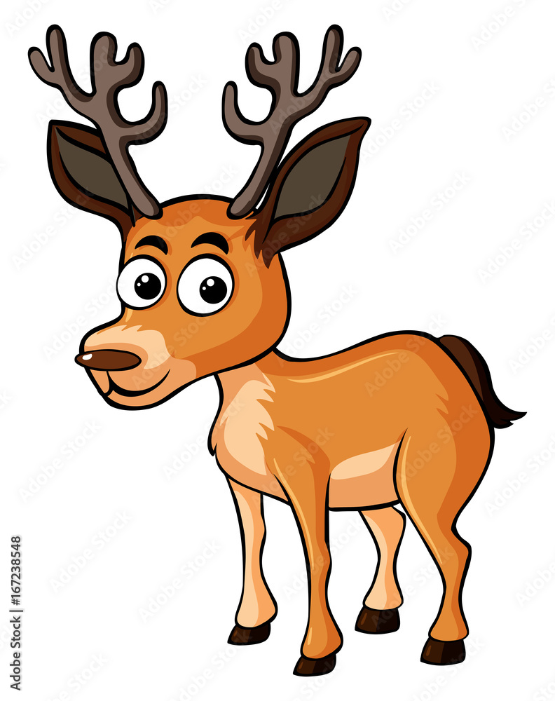 Cute deer on white background Cute deer on white background