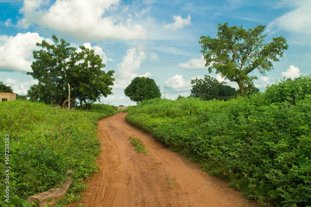 Forest Road