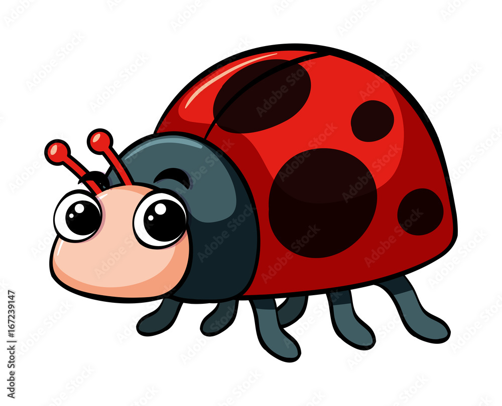 Obraz premium Ladybug on white background