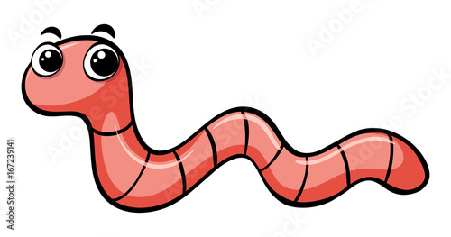 Worm crawling on white background photo