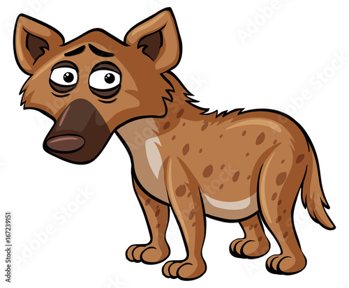 Hyena with sad face