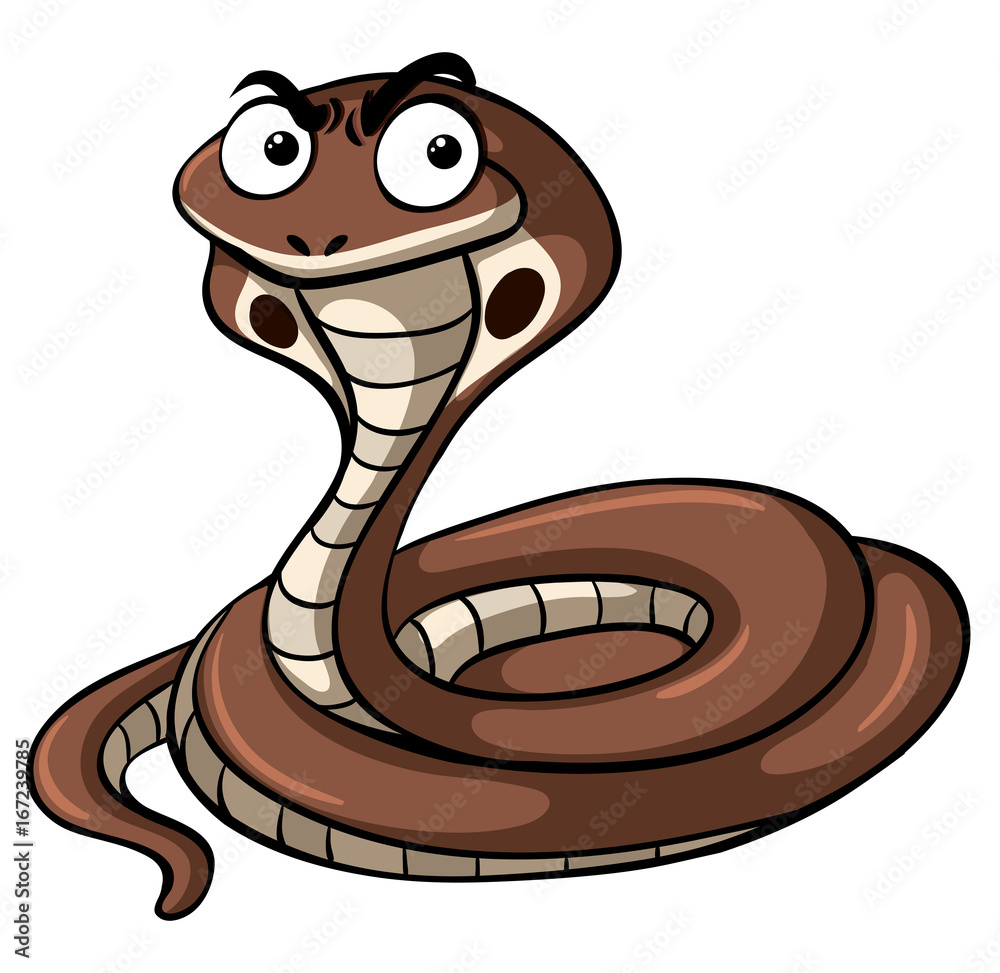 Fototapeta premium Cobra snake with serious face