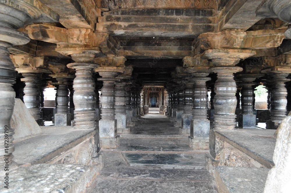 Veera Narayana Hoysala temple , Belavadi, Karnataka