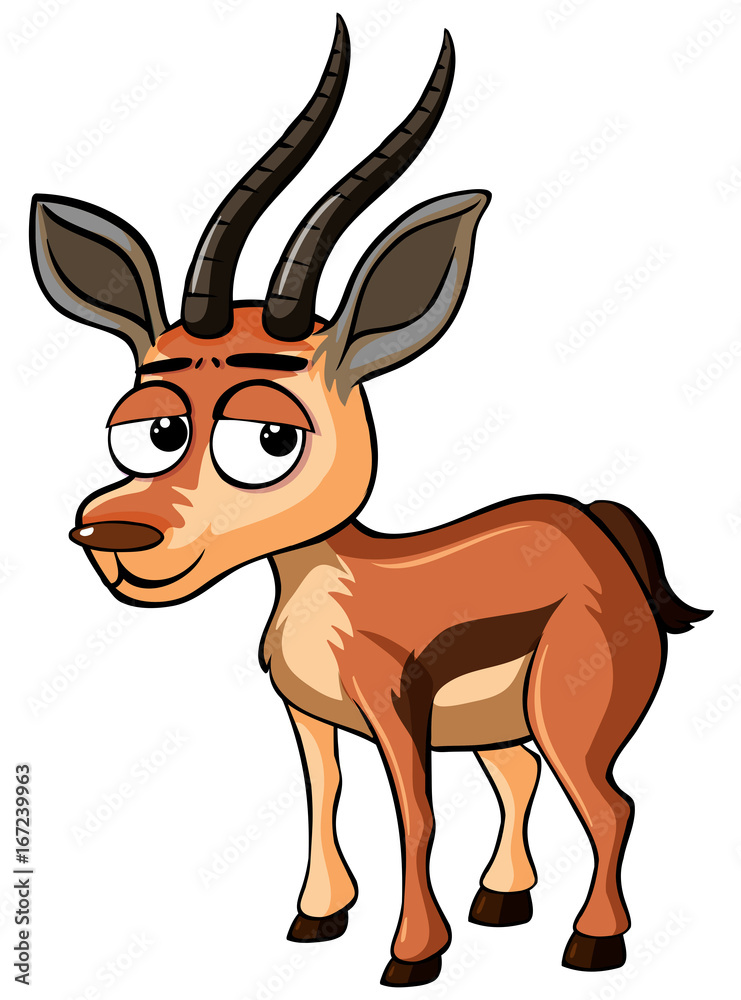 Fototapeta premium Gazelle with sad face