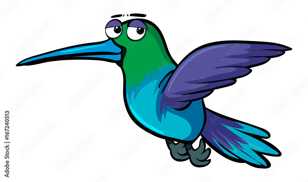 Obraz premium Hummingbird with sad eyes