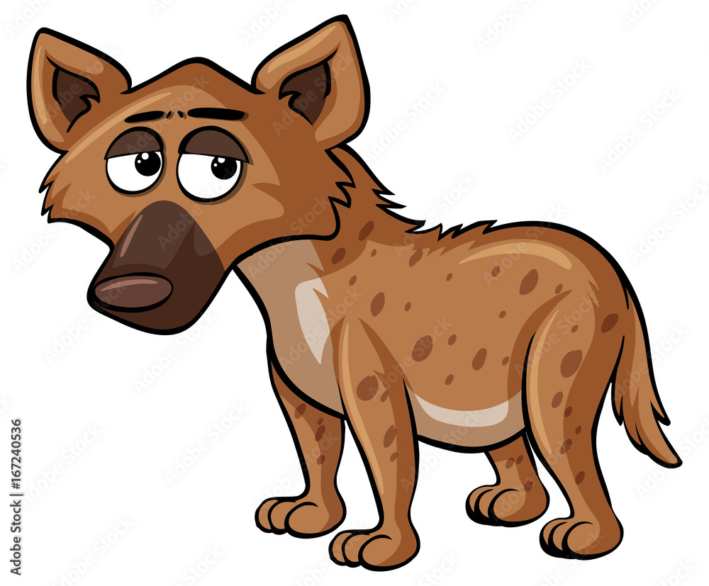 Sad hyena on white background Sad hyena on white background