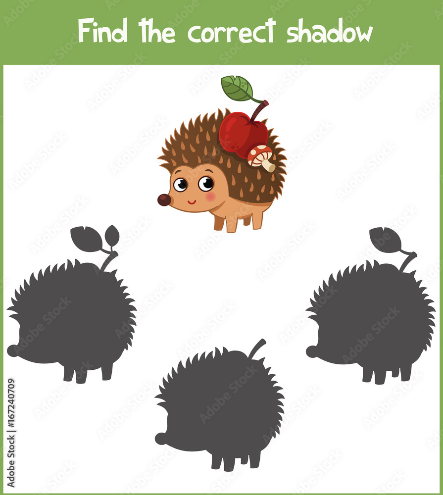 Obraz premium Find differences education game for children, hedgehog in the nature. Vector illustration.