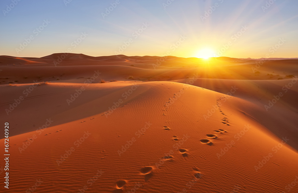 Naklejka premium Piękne wydmy na pustyni