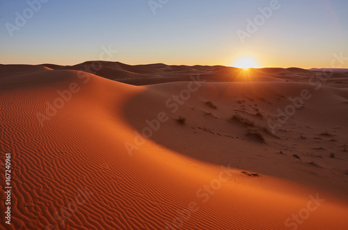 Beautiful sand dunes in the Sahara